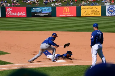 DSC_1817 (Large).JPG